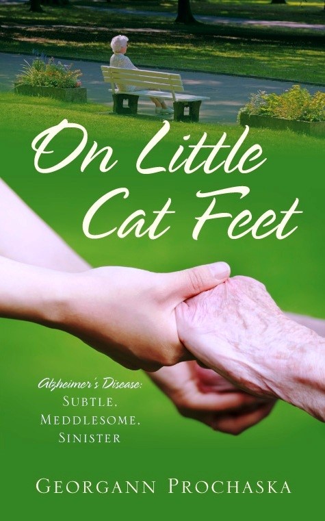 front cover little cat